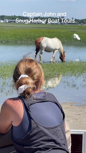 Captain John Chincoteague Va on TikTok
