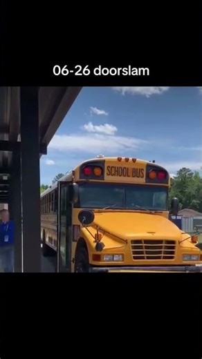 2007 bluebird vision