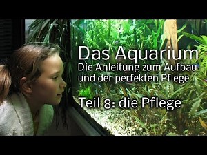 Das Aquarium: Anleitung zum Aufbau und Pflege - Teil 8: die Pflege