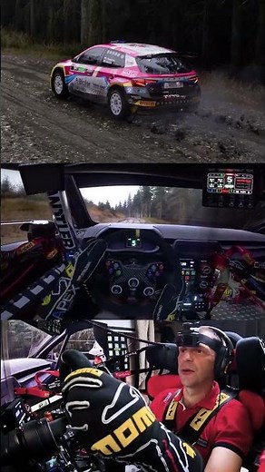 Assetto Corsa Rally V 0.5
