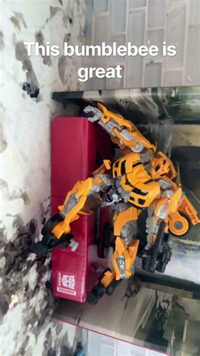 Bumblebee review🥳 anyone￼