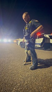 @_acek9_ Frog Dog K9 #k9leadstheway Worthless Handler Paravet K9 Summa.Fit Police Dog Paws Of Honor K9 Hurricane's Heroes K9 Storm Inc Sheepdog Mics | Erik Larson