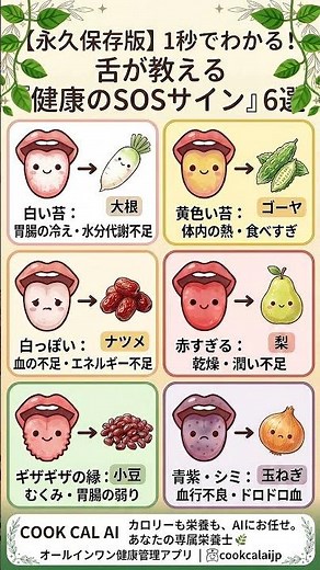 【永久保存版】300万人が見た大反響シリーズ第3弾！👅1秒でわかる『舌のSOSサイン』図鑑🔍✨ #健康 #セルフケア #体質改善 #保存版 #健康習慣 #豆知識 #図解 #体のサイン