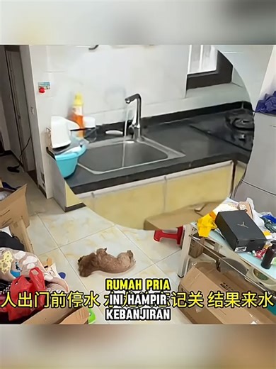 Anjing ini menyelamatkan pemilik dari tagihan air yang besar#anjingpintar #pecintahewanlucu