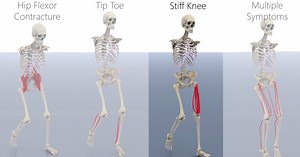 Next-Gen Simulation of Human Character Movement