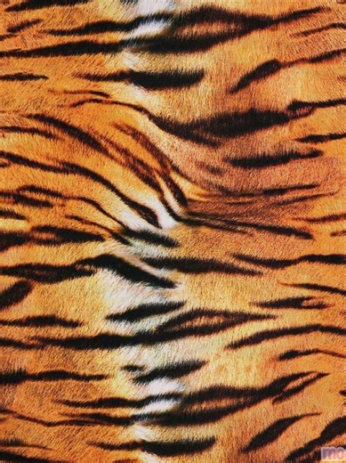 Expresiones de Frustración en el Transporte de Cargas