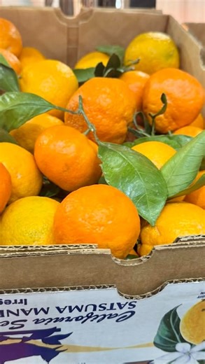 Hope you have a smooth, savory, sweet, hearty, delicious, and healthy start to your week! #phillyfreshproduce | Philadelphia Wholesale Produce Market