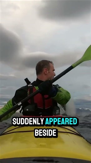 He Thought He Was About To Die #shorts #danger #animalattack #caughtoncamara