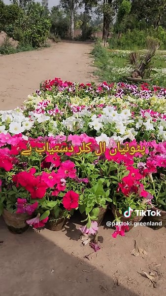 #plants #virlvideo #foryoupage #unfreezemyacount