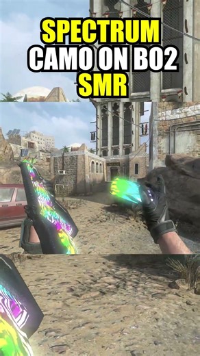 SMR Custom Camo MOD "SPECTRUM" BO2