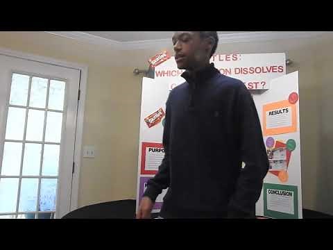 Virtual Science Fair Project-Skittles: Which Solution Dissolves Color Fastest?