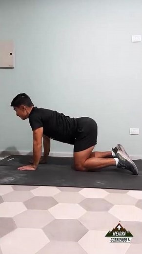 Anteversion y retroversion de pelvis cuadrupedia