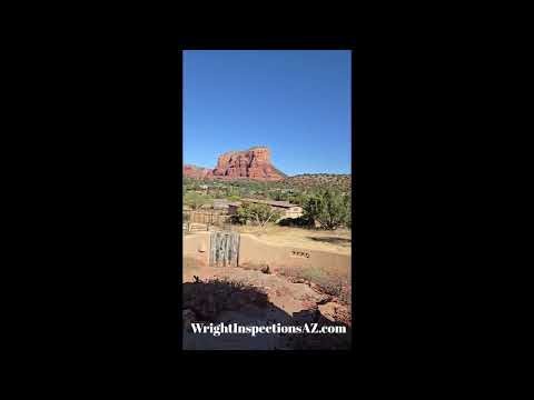 Termite Inspection