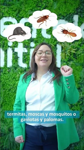 Rentokil Líderes en Control de Plagas