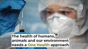 6.7K views · 58 reactions | Human health is connected to the health...