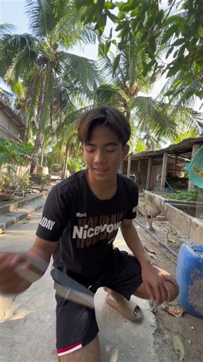 Làm Mòng Diều /Tập 4