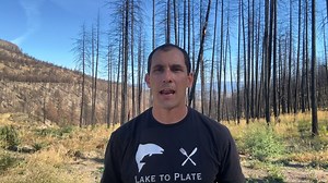 420 reactions · 115 shares | Raise your voice for wildlife! Underfunding has left British Columbia's fish and wildlife at risk. Join the BCWF in pressing candidates to commit to a management and funding model that will conserve and protect wildlife, with science as its foundation. Get involved: https://bcwf.bc.ca/bc2024/ | BC Wildlife Federation | Facebook