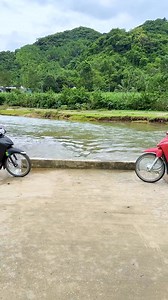 1.3M views · 4.8K reactions | Dog vs Cat Conflict – Hilarious Reaction  | Fun Fun TV | Facebook