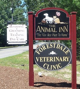 ANIMAL INN ON CAPE  COD