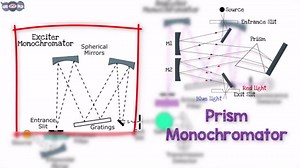 荧光光谱仪工作原理
