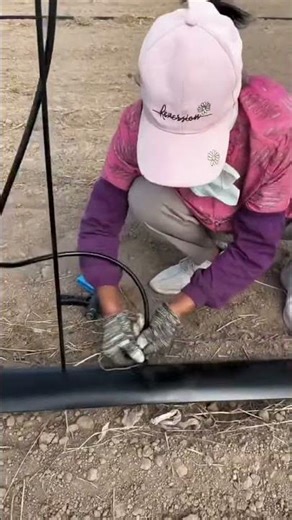 Butterfly Sprinkler Head Field Installation – Uniform Coverage for Efficient Irrigation!