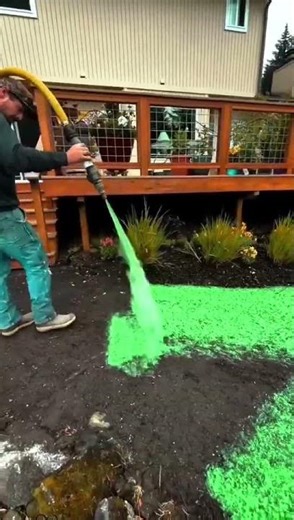 What is hydroseeding?