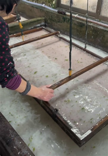 The Art of Traditional Handmade Xuan Paper