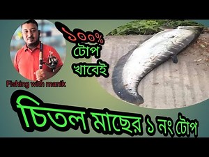 চিতল মাছ ধরার ১নং টোপ#no1 bait for chital fish ✅fishing ✅fishingequipment ✅viral ✅fishstory