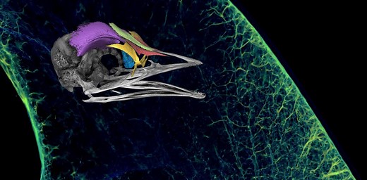 Art illuminates the beauty of science – and could inspire the next generation of scientists young and old