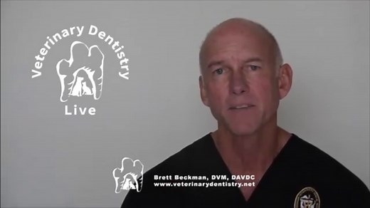 醴 Veterinary Dental Spotlight: Maxillary Canine Extraction in Dogs!...