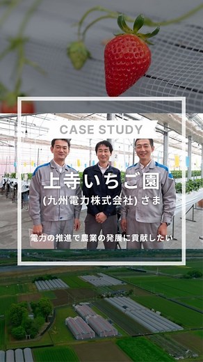 【公式】inochio AGRI（イノチオアグリ株式会社） 農業総合支援企業 | . 福岡県朝倉市にある「上寺いちご園」🍓 九州電力グループでは、九州のさらなる成長と活性化に向けて一次産業の領域にも挑戦し、スマート農業に取り組むことをの長期ビジョンに掲げています。... | Instagram