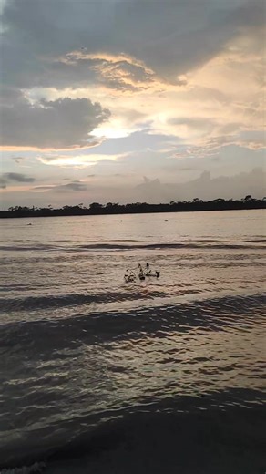 Episode - 16 Of building my own brand as a teenager 🙌 . . Amra local distributor peye gechi🥳 . . . . #perfumes #perfumecollection #Imperiumfragrances #fragrances #business #money #inspire #scentoftheday | Imperium Fragrances