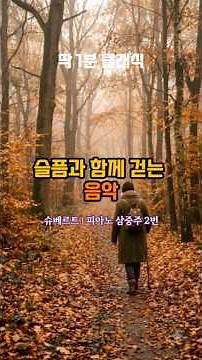 슈베르트 — 피아노 삼중주 2번 Op.100제2악장 〈Andante con moto〉 #딱1분클래식 #classicalmusic #클래식스토리