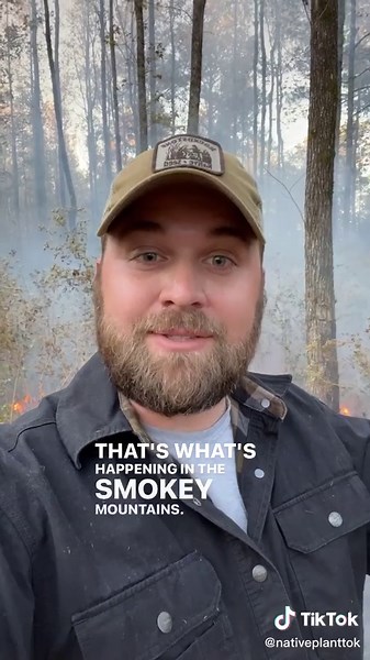 Prescribed Fire: The Medicinal Solution for Overgrown Habitats