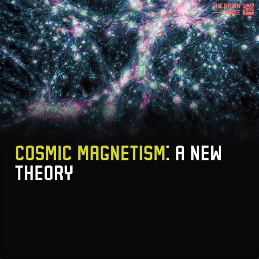 A new theory suggests a surprising answer to one of the universe's oldest questions. The link to the research paper: https://arxiv.org/abs/2410.21461 | The Brain Maze