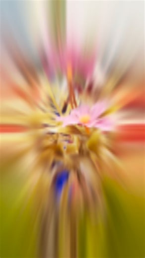 I started with my beautiful bride saghana wedding makeup 2026 ❤️🙌🏻 Blouse: @bawani_sewing Saree: @arishaasarees Photographer: @tk9_creations Jewellery: @brides_culture | Kanchana Bridal Artist