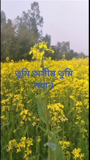 গড়েছো তুমি এই পৃথিবী জাহান #islamik #gojo #senary#shor