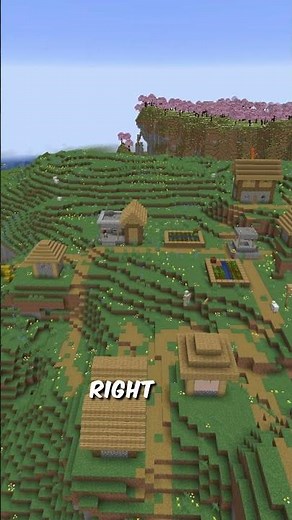THIS MINECRAFT SEED HAS THE BEST STARTER VILALGE!!