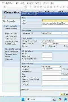 What is Sales Organization in SAP? | Step-by-Step Creation Guide