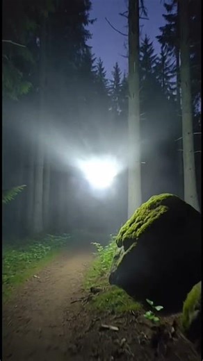 it feels like the veil blinked for a second and let something look back. #unsolvedmystery