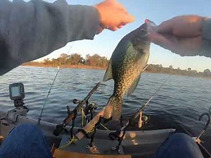 Crappie Fishing Lake Tarpon Trolling Late February 2022 Tarpon Springs Florida