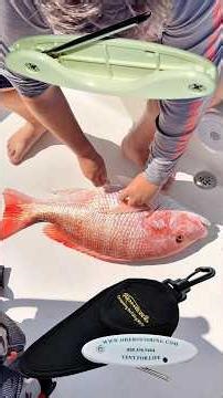 Ohero Vent For Life. Fish Venting Tool #fishing #floridafishing