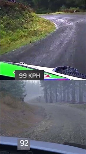 Is Assetto Corsa Rally hyper-realistic?