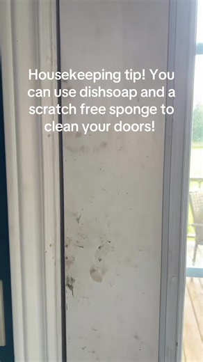 #professionalcleaner #cleanwithme #cleaning #cleaninghacks #housekeepingtip #cleaningtip | The Cleaning Lady