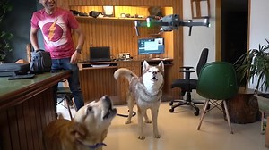 12K views · 1.1K reactions | Naya DRONE aa gaya  | THE HIMALAYAN HUSKY | The Himalayan HUSKY | Facebook