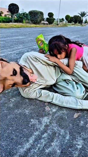 Bachi Ne Kute ko Acha Sabak Sikhaya 😱 #dog #trending #shorts #ghaffarbhai