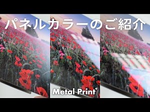 メタルプリントのパネルカラーをご紹介