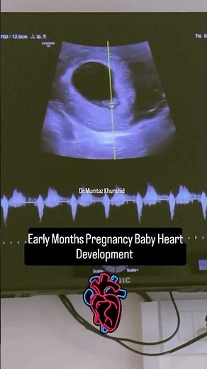 2 Months Pregnancy Baby Heart Development