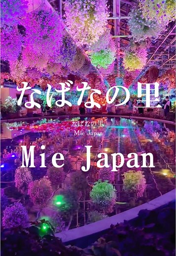 国内最大級の煌めきがつくる、奇跡の絶景 【なばなの里】イルミネーション2024 2024.10/19～ 2025.6/1 2024-2025のテーマは「名峰富士」。世界中の人々を魅了する日本の象徴「富士山」を舞台に、躍動感あふれる幻想的な光と音でダイナミックに演出 ＜お知らせ＞先着順・枚数限定 12/23～25 （15:00~23:00）に ご来場の際は、日付指定チケット を 事前にお買い求めください。 ※会員特典や通常時の一般券や前売券等はこの期間はご利用いただけません。 イルミネーション期間中の入村料金は大人・小学生2,500円（小学生未満は無料） 2,500円の料金にはなばなの里内で使える1,000円分の金券が含まれ、園内のお土産屋さんや飲食店で利用できます 12月23日（月）〜25日（水）の15時～23時は「クリスマス特別営業」として、チケット販売数を制限した特別営業になります。 当日は料金やサービス内容が異なり、ベゴニアガーデンにて特別なクリスマス演出「ベゴニアクリスマスナイト」も披露されます。 ★日付指定券の事前購入が必要で、専用前売りチケットストアでのみ販売。（※当日は窓