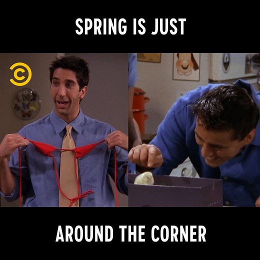 We welcome the sun back to the UK with open arms and warm hearts ☀️ | Comedy Central UK